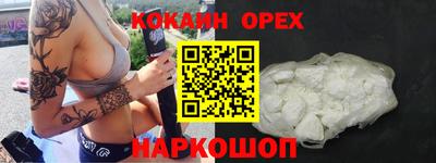 спиды Гатчина