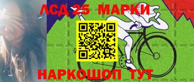 спиды Гатчина