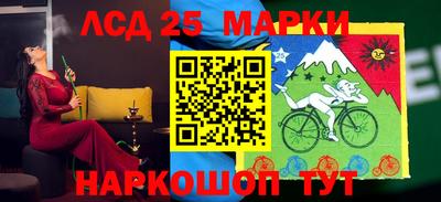 спиды Гатчина