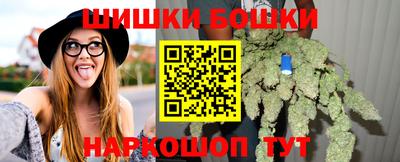 спиды Гатчина