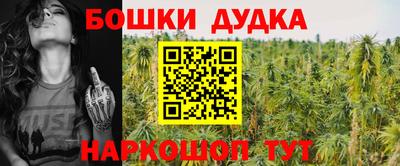 спиды Гатчина