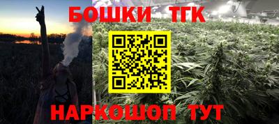 спиды Гатчина
