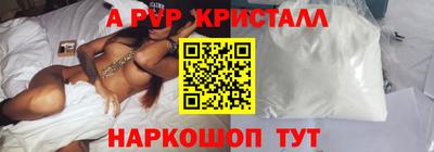 спиды Гатчина