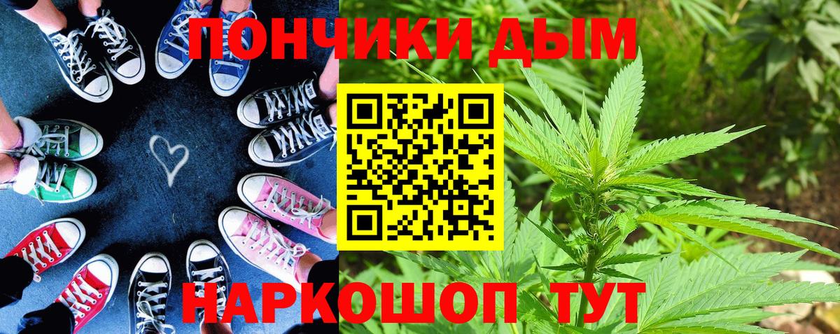 Каннабис семена  Бошки марихуана план  Гулькевичи  Конопля тримм  Вход с VPN  Каннабис OG Kush 